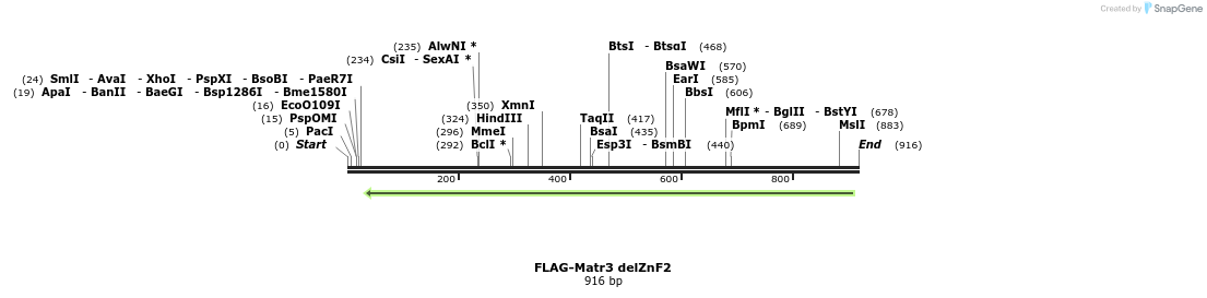 39929_map