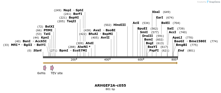 399307_map