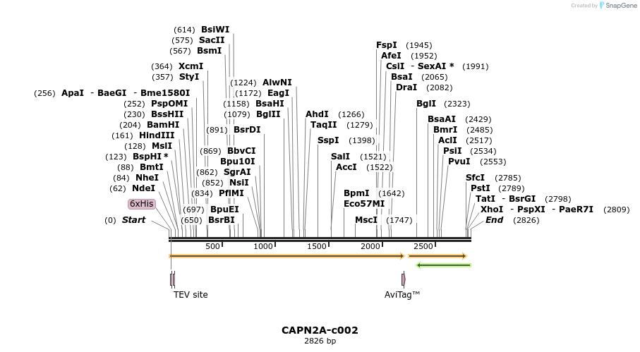 399308_map