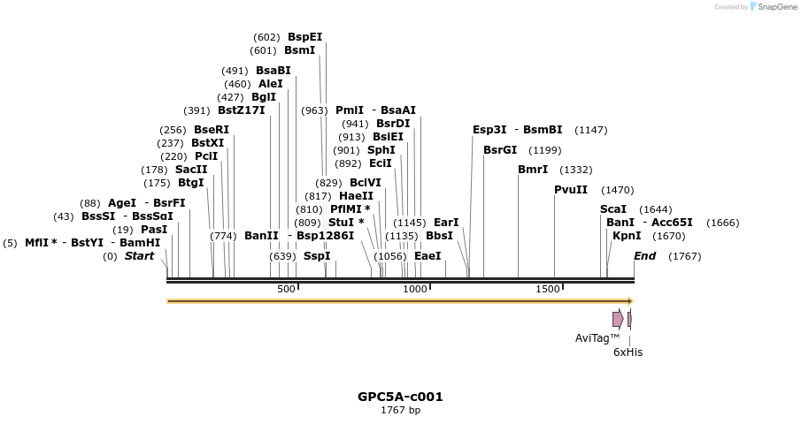 399314_map