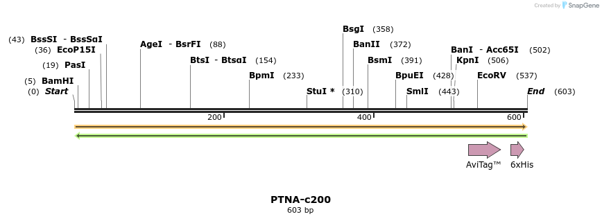 399318_map
