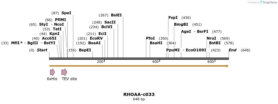 399320_map