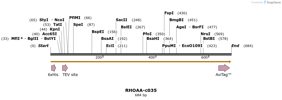 399322_map