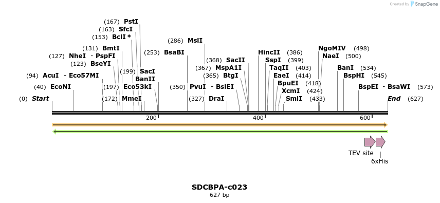 399325_map