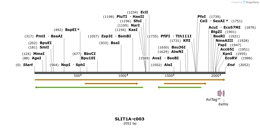 399328_map
