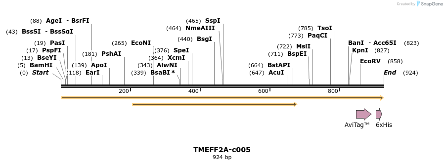 399331_map