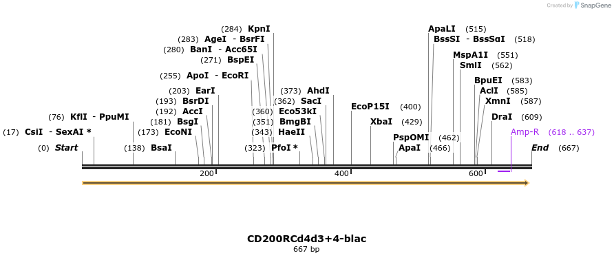 39941_map