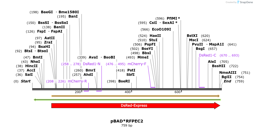 39943_map
