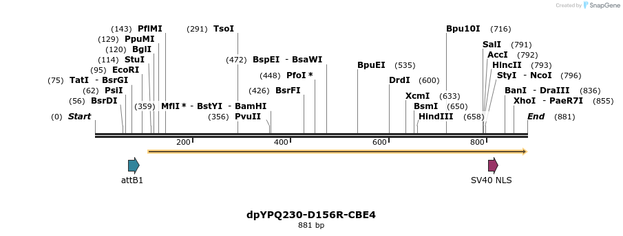 399626_map