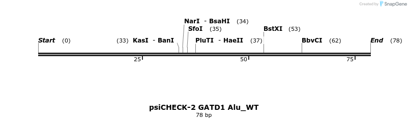 399675_map