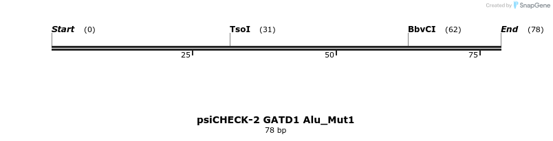 399677_map
