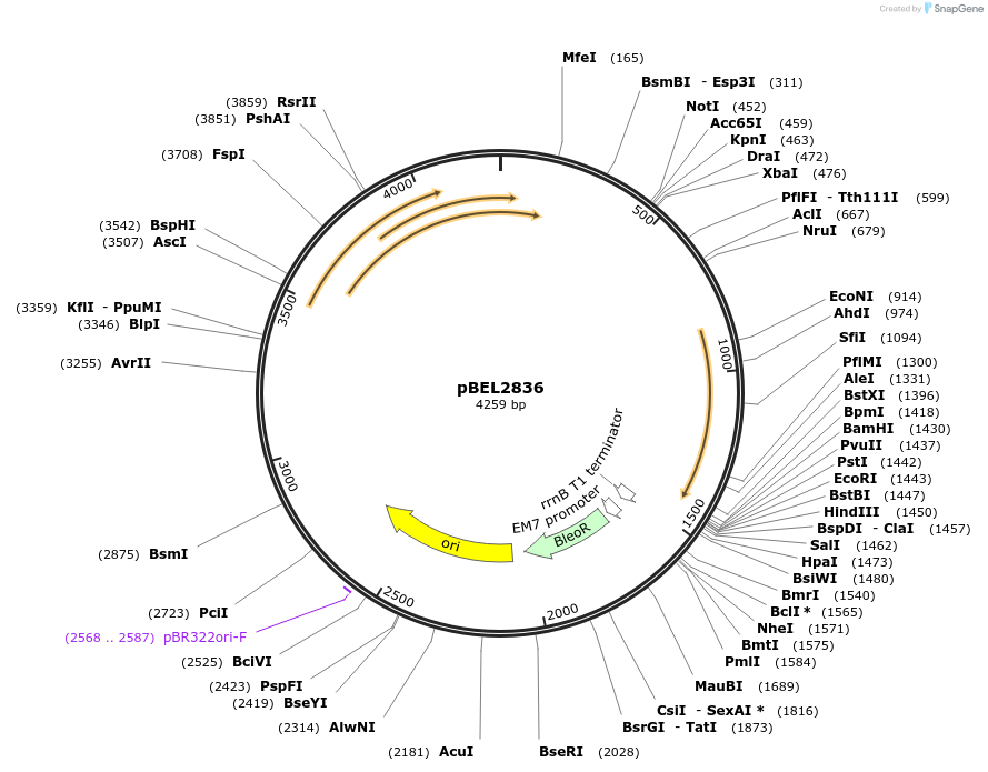 400019_map