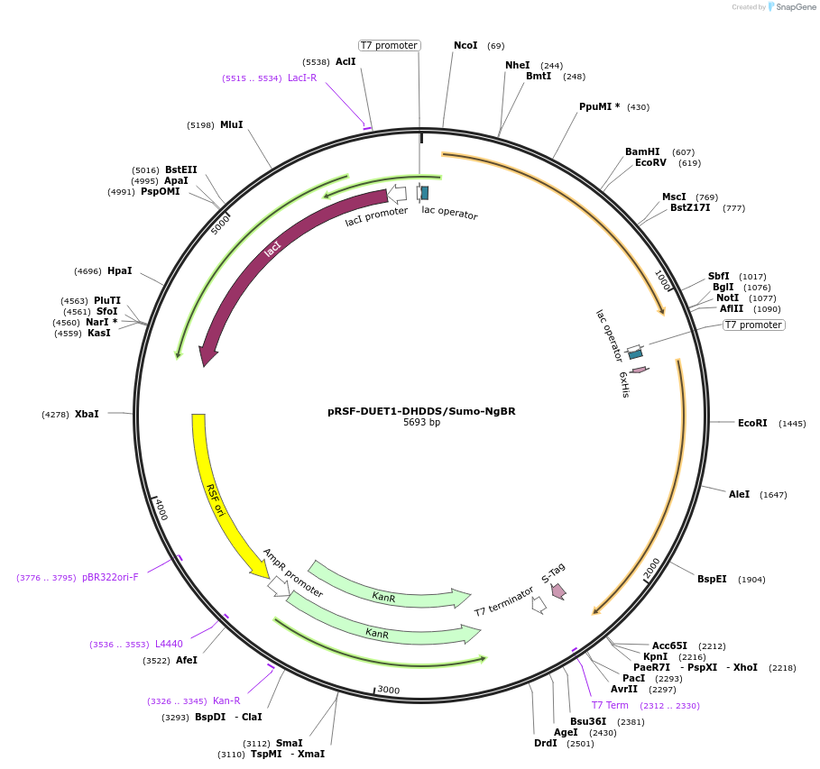 400036_map