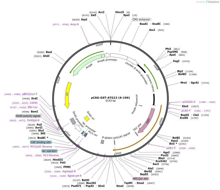 400891_map