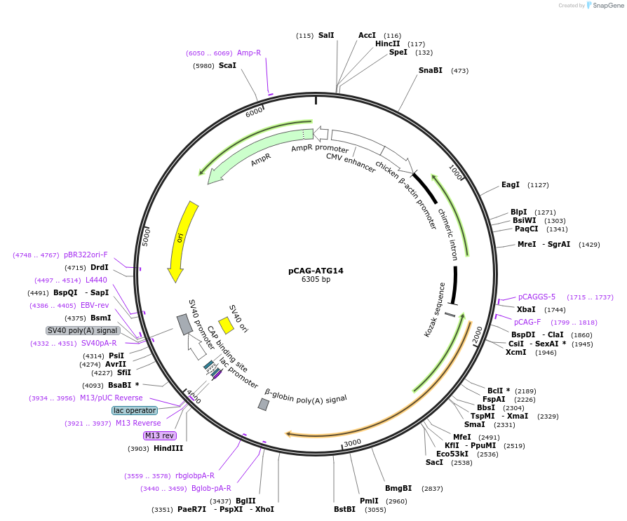 400990_map