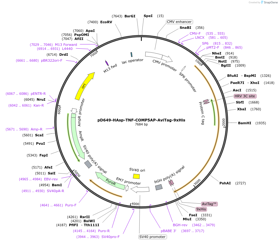 401014_map