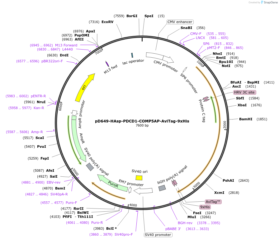 401016_map
