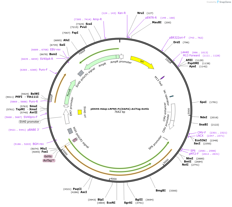 401020_map