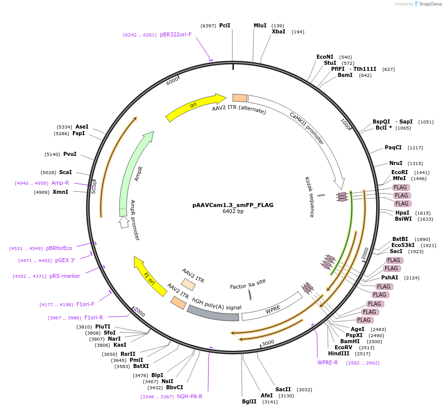 401050_map
