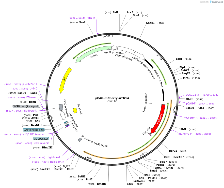 401051_map