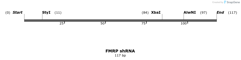 401090_map