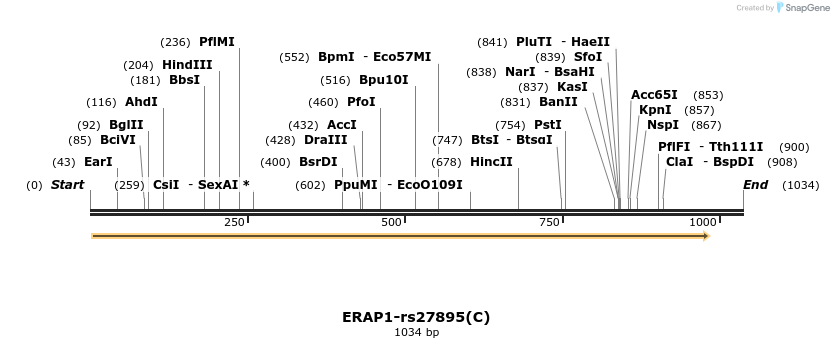 401127_map