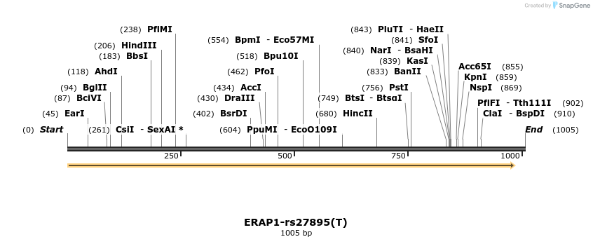 401131_map