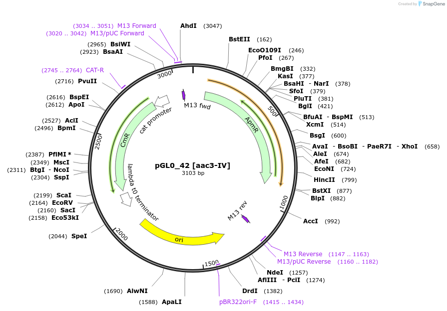 401267_map