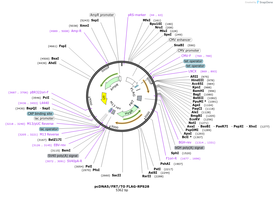 401672_map