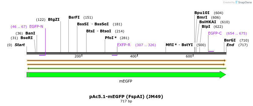 401690_map