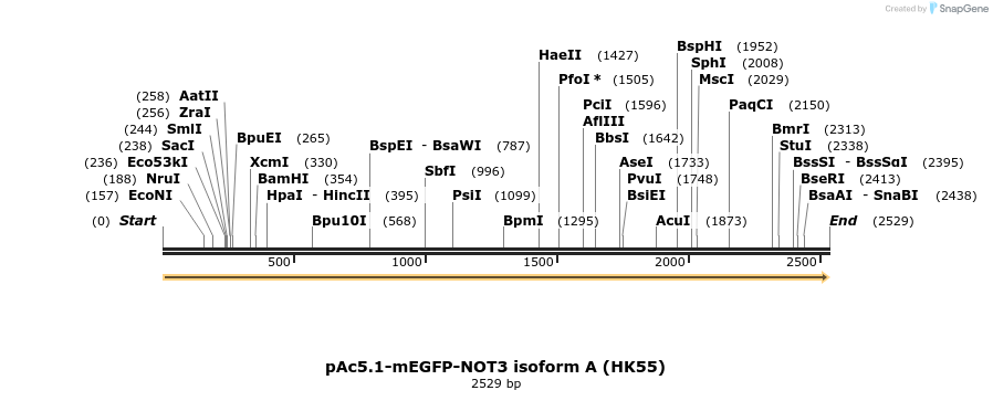 401702_map