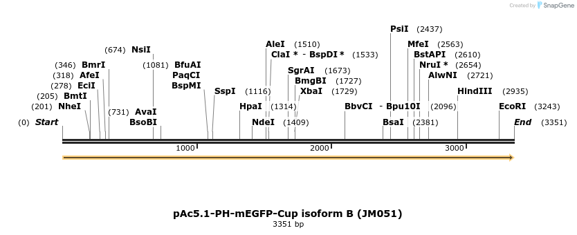 401720_map