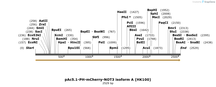 401732_map