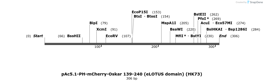 401740_map