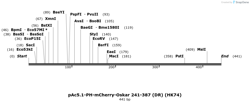 401742_map