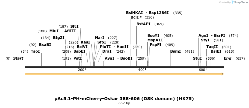 401744_map