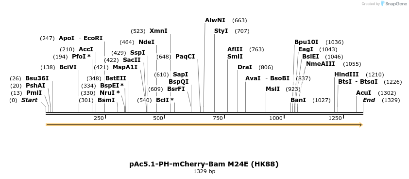 401752_map