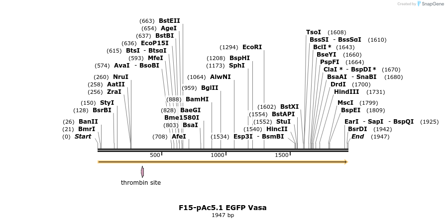 401816_map