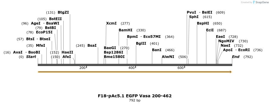 401820_map