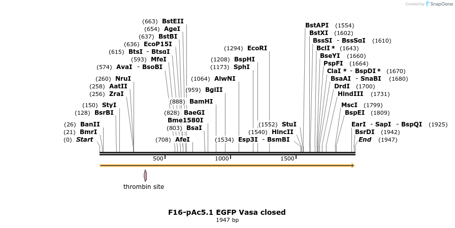 401824_map