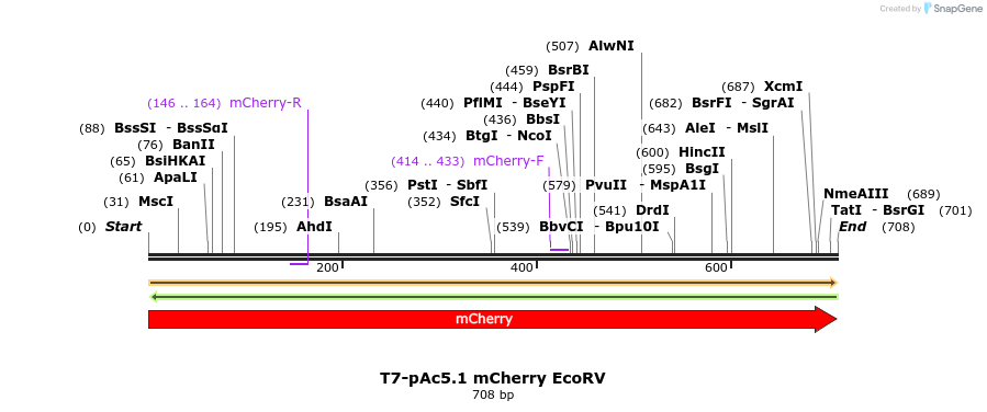 401830_map