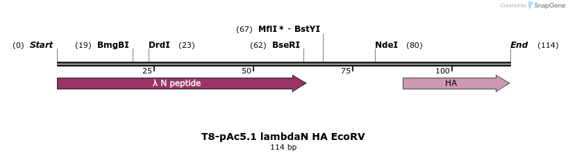 401834_map