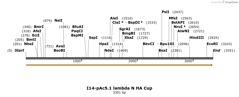 401836_map