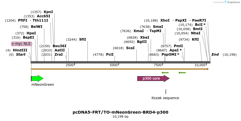 402667_map