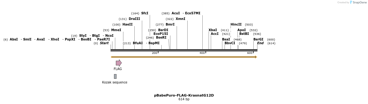 402721_map