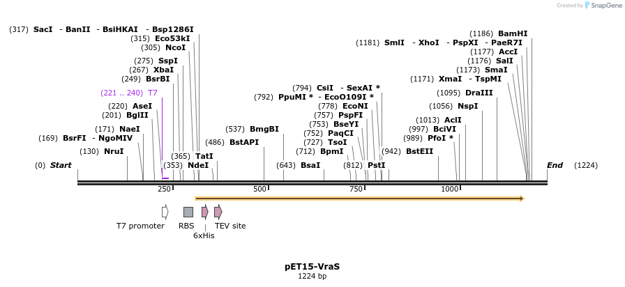 402729_map