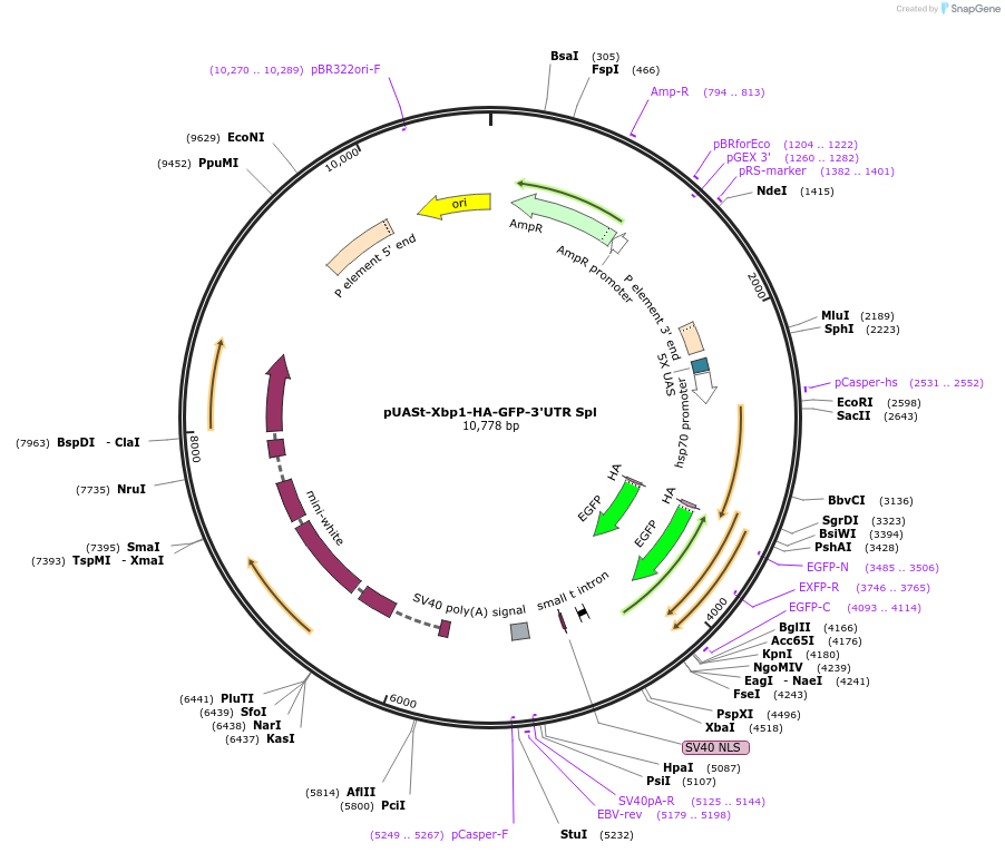 402919_map