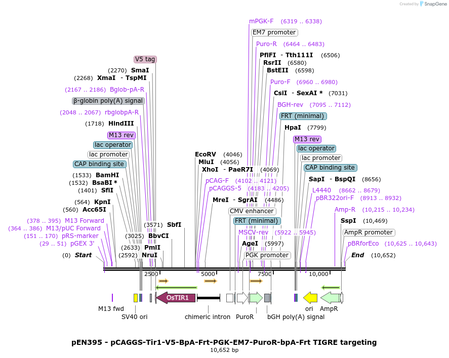 403204_map