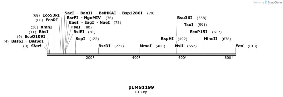 40344_map