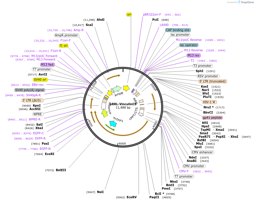 404033_map
